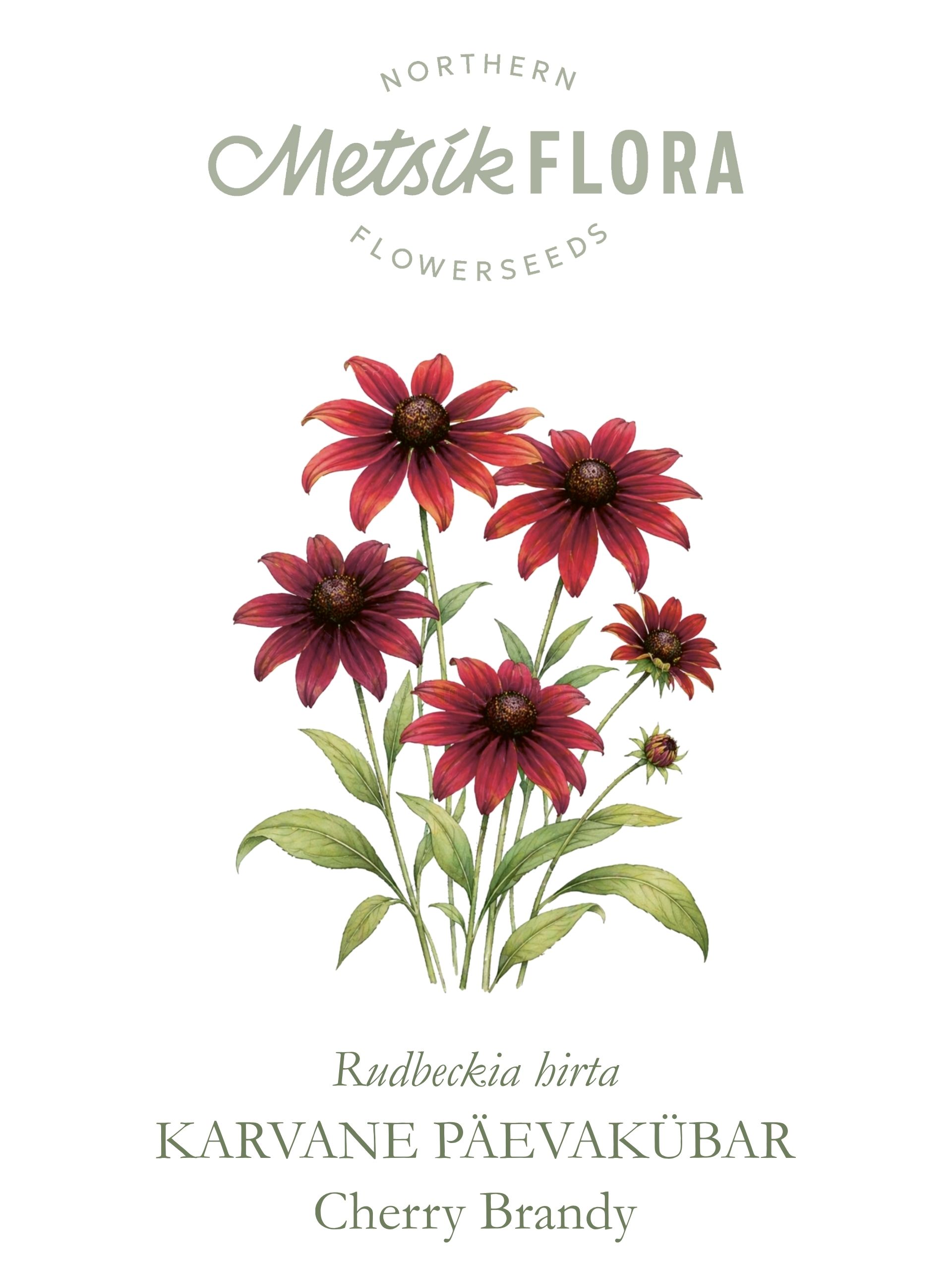 Karvane päevakübar `Cherry Brandy` - Pilt 3