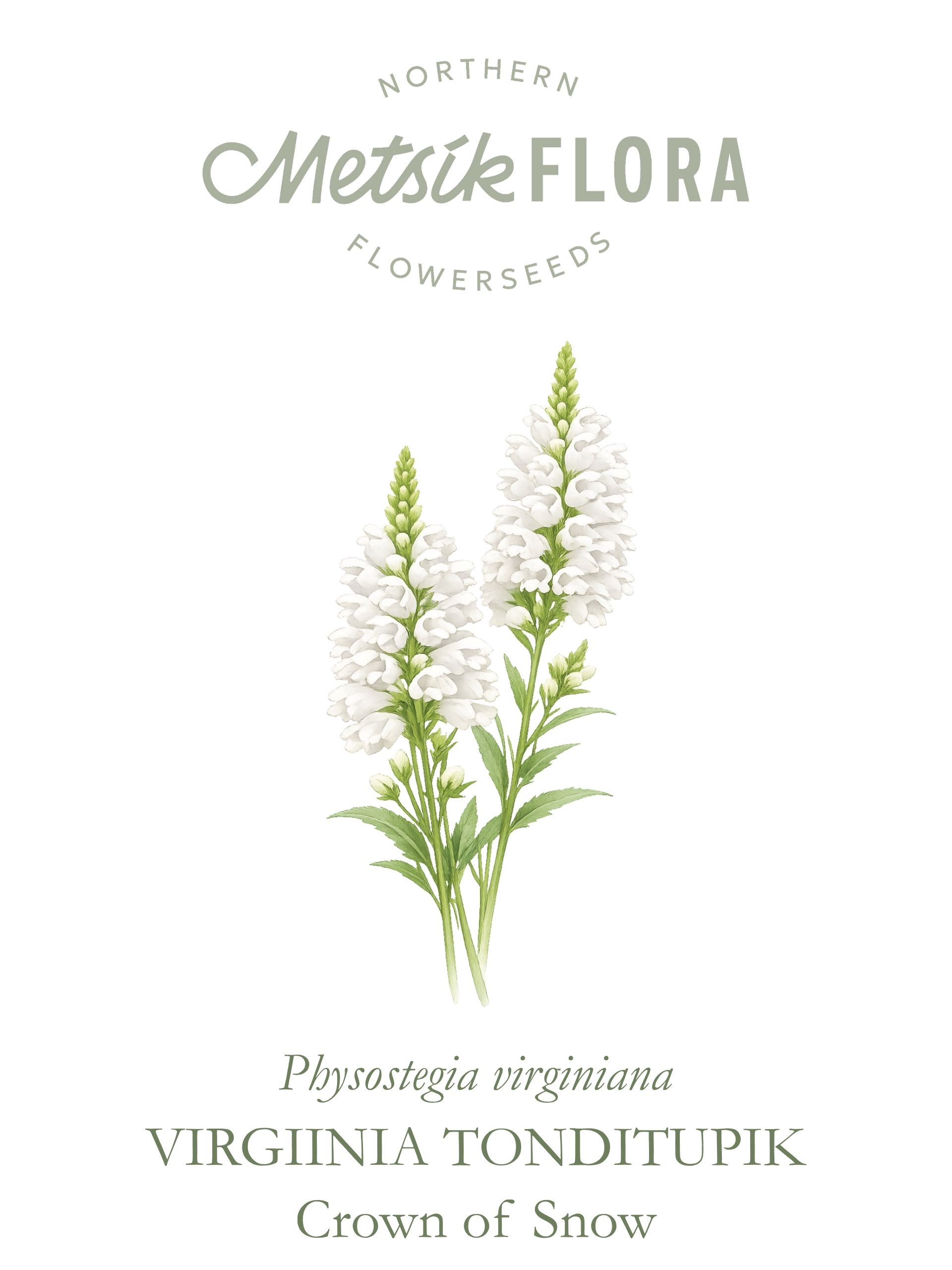 Virgiinia Tonditupik `Crown of Snow` - Pilt 3
